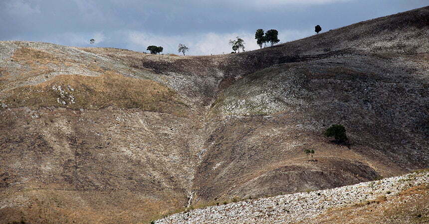 Deforestation triggered mass extinction of endemic animal species in Haiti