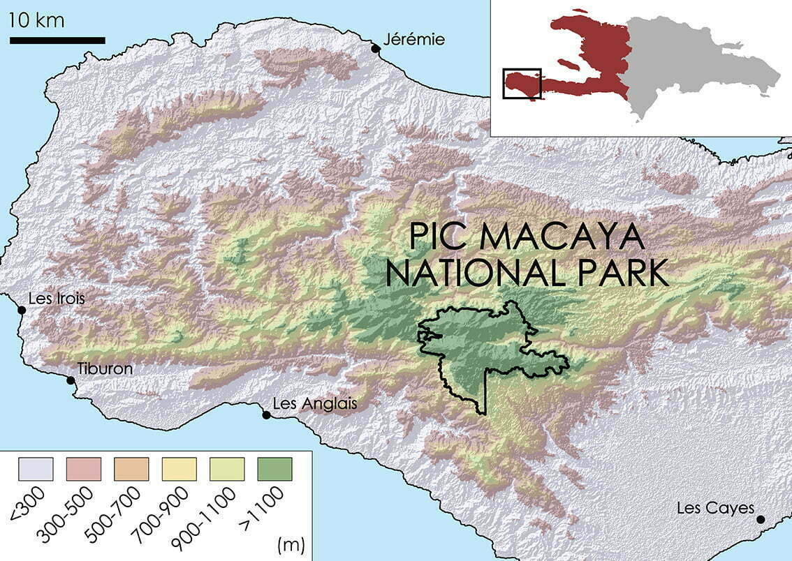 Macaya Topographic Map 1