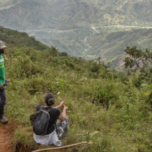 Surveying Grand Bois National Park from a mountain vantage point. Image by Eladio M. Fernandez