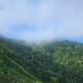 Grand Bois National Parc - Haiti National Trust